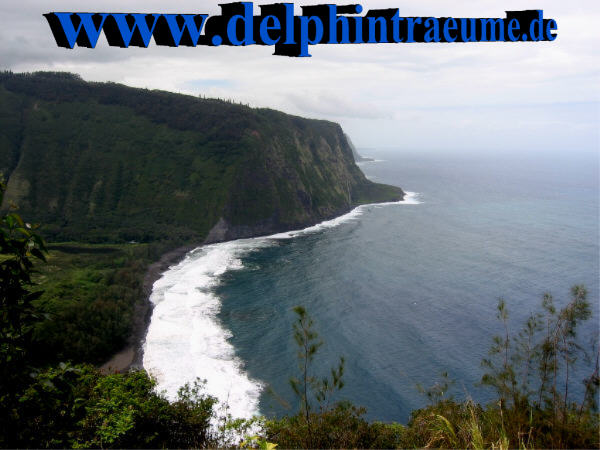 Bucht von Waipio