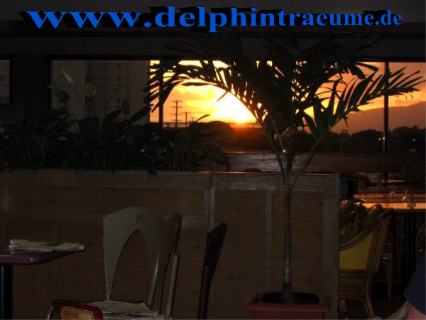 unser erster Sonnenuntergang im Flughafen von Honolulu