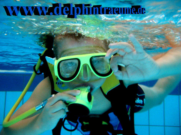 Bild 50