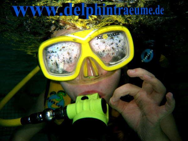 Bild 263