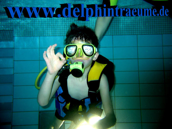 Bild 288