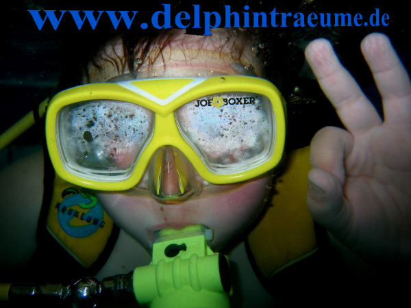 Bild 296