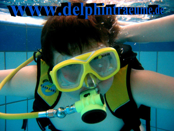 Bild 297
