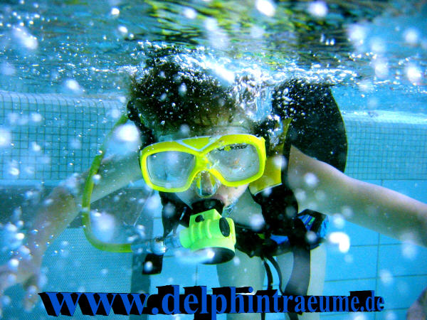 Bild 298