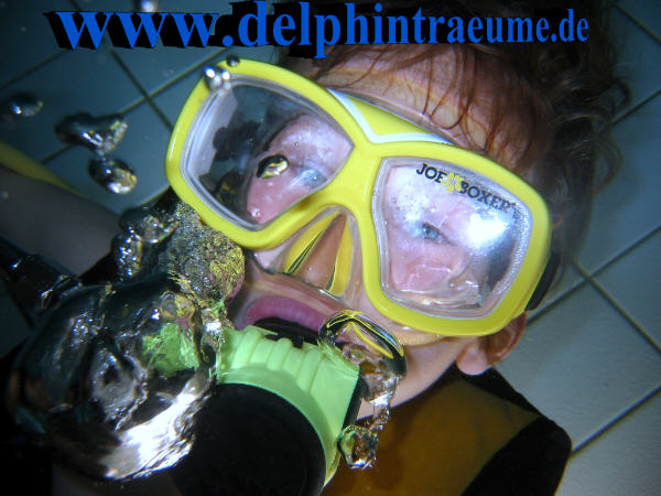Bild 299