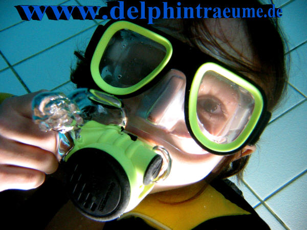 Bild 302