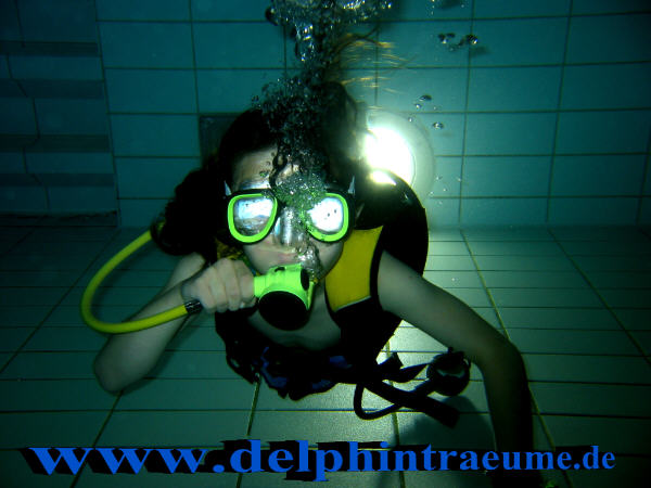 Bild 303