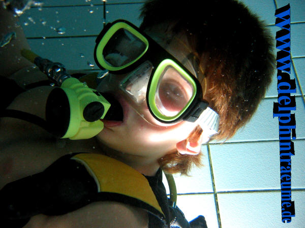 Bild 342